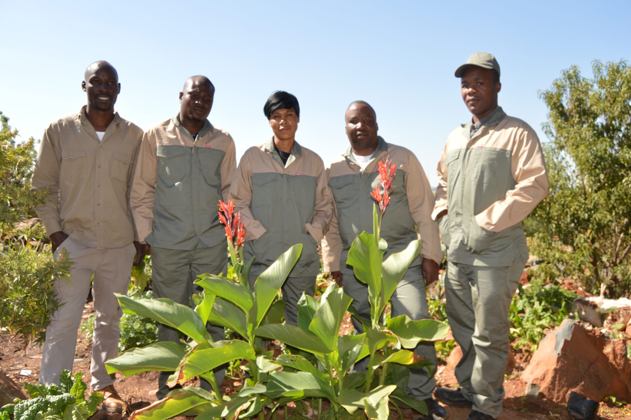 Tim Nectar Farms: Cultivating sustainable agriculture and empowering communities 