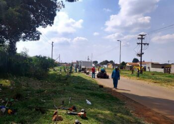 City Parks cleans up overgrown Parks and Roads