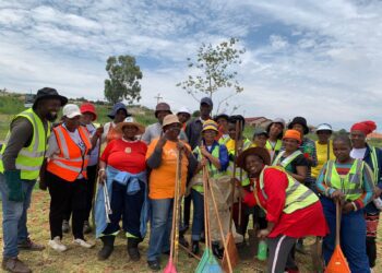 Drieziek 4 community cleans park to curb crime