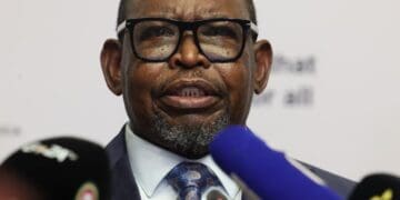 Godongwana confirms social grants increase in April