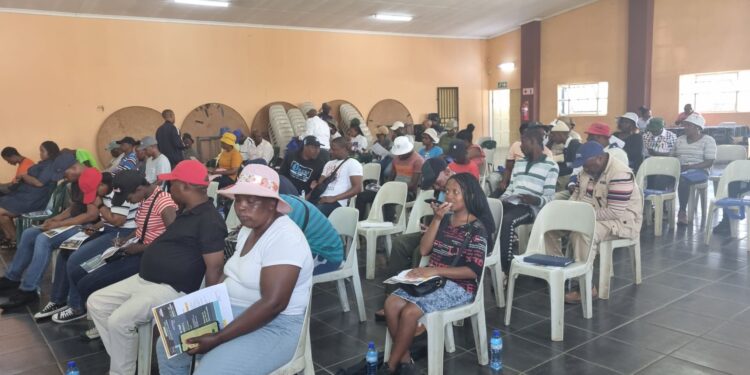 City brings business support directly to Orange Farm traders