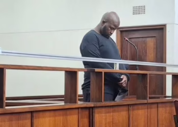 Scholar transport driver granted bail after fatal Golden Highway crash
